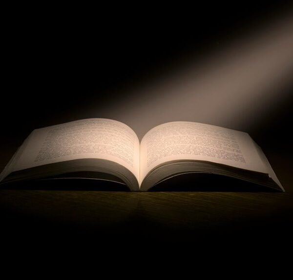 operational dataset analysis insight