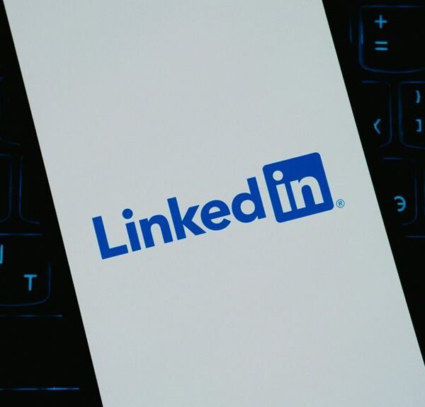 professional digital network growth