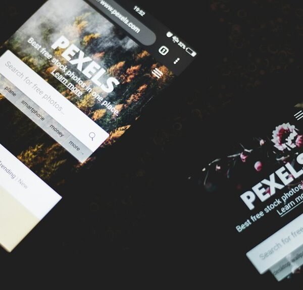 professional web model identification phrase