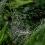 smart web architecture for growth